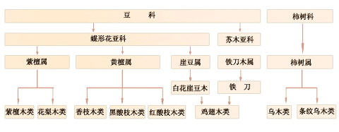 红木国标五属八类33树种示例图,国家标准5属8类33种