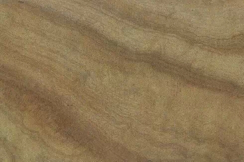 香樟木纹理